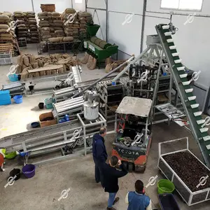 Linha de produção automática de castanho de caju, máquina de processamento automática de descascamento e descascamento de castanho de caju
