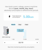 Nouveau disjoncteur WiFi TUYA avec compteur Rail DIN 63A télécommande sans fil interrupteur mural intelligent Compatible avec la maison intelligente