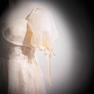 Champagne Floral Embroidered Organza A-Line Evening Gown Sweetheart Neckline Empire Waist Women's Formal Dress For Birthday - Product Image 2
