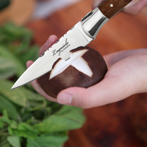 Ensemble de couteaux de cuisine japonais professionnels 7 pièces en acier inoxydable Laguiole Couteau de chef Manche en bois Ensemble de couteaux - Product Image 6