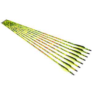 Flèches <span class=keywords><strong>arc</strong></span>-en-ciel réglable, pour <span class=keywords><strong>arc</strong></span> composé de colonne vertébrale 250 300 340 400 500 600, arbre de flèche en carbone, pour la chasse - Product Image 2