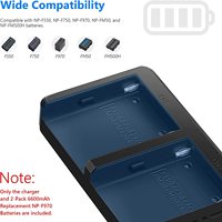 NW-F970 Pengisi Daya Cepat USB Ganda 2 Paket Baterai Li-Ion 9V Isi Ulang untuk F960/F950/F770/F750/F570/F550 6600mAh Baterai Pengganti