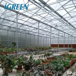 Commercial Polycarbonate Sheet Agricultural Greenhouses