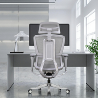 Chaise de bureau exécutive ergonomique moderne en maille, réglable, avec soutien lombaire et accoudoirs, vente en gros, usine de Foshan
