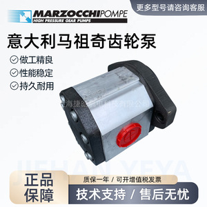ปั๊มน้ำมันเกียร์แรงดันสูง Marzocchi รุ่น GHP3A-D-66-FG แบบยึดหน้าแปลน ขับเคลื่อนด้วยไฟฟ้า สำหรับอุปกรณ์เครื่องจักรกล - Product Image 4