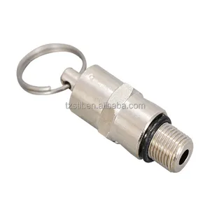 1/4inch Stainless steel spring relief valve brass safety valve for screw compressor