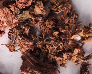Flores naturales de <span class=keywords><strong>balsamina</strong></span> pura, flores secas de <span class=keywords><strong>balsamina</strong></span>, 1kg, venta al por mayor - Product Image 3