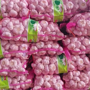 Mercado Mayorista de China, Nuevo Proveedor de <span class=keywords><strong>Ajo</strong></span> Fresco, <span class=keywords><strong>Ajo</strong></span> Blanco Normal, Alho en Bolsa/Caja, Ail G1, Fabricante, <span class=keywords><strong>Ajo</strong></span> <span class=keywords><strong>Morado</strong></span> de Buena Calidad - Product Image 2