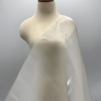 Benutzer definierte Luxus Seide Glitter Shiny Organza Stoff für Hochzeits kleid holo graphischen Organza Perlen stoff Stoff