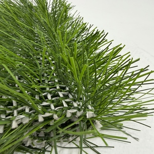 หญ้าเทียมแ<span class=keywords><strong>บ</strong></span><span class=keywords><strong>บ</strong></span>ทอผสมใยสังเคราะห์ที่ซึมผ่านได้ เป็นมิตรกั<span class=keywords><strong>บ</strong></span>สิ่งแวดล้อม รีไซเคิลได้ เหมาะสำหรั<span class=keywords><strong>บ</strong></span>สวนบนหลังคา ระเบียง และพื้นที่กีฬา - Product Image 5