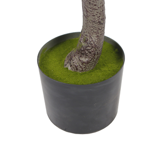 ต้นไทรเทียมขนาด170ซม. ใบฟิชใบ Fig <span class=keywords><strong>Ficus</strong></span> <span class=keywords><strong>altissima</strong></span> ลำต้นเหมือนจริงสำหรับตกแต่งบ้าน - Product Image 5