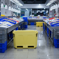 Boîte de transport pour poissons, bac de transport pour fruits de mer, bac à poissons