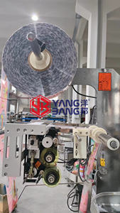 Machine <span class=keywords><strong>de</strong></span> remplissage et <span class=keywords><strong>de</strong></span> scellage automatique YB-300Y pour bâtonnets <span class=keywords><strong>de</strong></span> glace, <span class=keywords><strong>de</strong></span> confiture et <span class=keywords><strong>de</strong></span> gelée, idéale pour les jus <span class=keywords><strong>de</strong></span> fruits et les sucettes glacées – Vente chaude en usine - Product Image 3