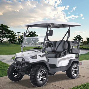 Tao Motor 2026 Nuevo Carro de Golf Turístico Chino de 4 Ruedas y 4 Plazas con Certificación EEC, Carros de Golf de 4 Ruedas - Product Image 1