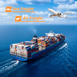 Spedizioniere Aereo e Marittimo Porta a Porta dalla Cina, Vietnam, Malesia, <span class=keywords><strong>Singapore</strong></span>, Thailandia, Cambogia verso gli USA, Agente di Spedizioni Aeree - Product Image 6