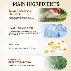 Productos Veganos para el Cuidado de la Piel de Caracol al por Mayor, Limpiador, Suero, Crema para Ojos, Humectante, Kit de Cuidado de la Piel, Juego de Cuidado Facial con Mucina de Caracol - Product Image 3