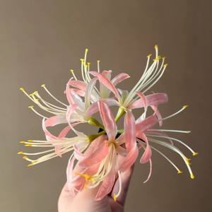 Pince à cheveux fleurie avec peigne, motif Plumeria, en plastique et titane, couleur dégradée, imprimé vintage, durable, haute qualité, pour usage quotidien - Product Image 4