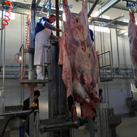 Conception de Machine d'épluchage de peau de vache hydraulique équipement d'abattoir de bétail extracteur de peau de dissimulation de vache enlever le roulement de noyau de Machine