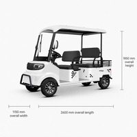Mini-bus électrique 4 places avec toit à auvent, freins à disque sur 4 roues, certifié CE, chariot de tourisme pour les stations balnéaires, les parcs et les communautés