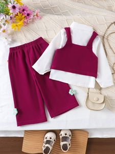 เสื้อผ้าเด็ก ฤดูใบไม้ผลิใหม่ เสื้อแขนยาวเด็กผู้หญิง เสื้อกั๊กและกางเกงสีม่วง-แดง เสื้อผ้าเด็กผู้หญิง 0-3Y - Product Image 2