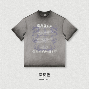 Chu <span class=keywords><strong>Fei</strong></span> <span class=keywords><strong>Ya</strong></span> 2024 ฤดูใบไม้ผลิปีใหม่ของมังกรพิมพ์ล้างReversibleรอบคอแขนสั้นRetro Streetเสื้อยืด - Product Image 2