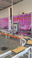 Robot de palettisation monté sur rail |   Palettisation flexible à large gamme de applications |   Personnalisé pour différents matériaux