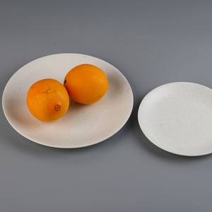 Assiette ronde en mélamine blanche de 10 pouces, durable, design minimaliste, assiette de service pour aliments - Product Image 4