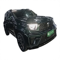 Tanke 700 Hi4 Z SUV Hybride 2025 Turbo Gauche Haute Performance Châssis Routier Portable Durable Sécurité Avancée Léger