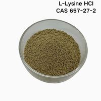 Lysine en poudre de qualité alimentaire, fortifiant nutritionnel, L-lysine, fourni par l'usine