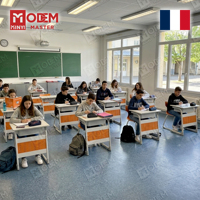 MINYI LEO France Ensemble Bureau et Chaise d'Écolier, Chaise d'Université et Table avec 2 Chaises