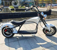 Scooter Eléctrico Inteligente Loyal con GPS, Motor sin Escobillas de 3000W, Plegable, Impermeable, Batería de Litio Recargable de 60V 20/30Ah