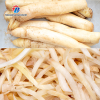 Équipement pour Frites et Chips de Pommes de Terre à Vendre Machine de Découpe TS Q128