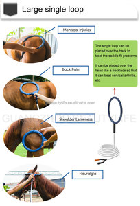 Producto de Tendencia 2026: Tapete de Terapia Electromagnética - Product Image 3