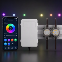 Lumières de Noël extérieures 24V 35mm, prix d'usine, lumières ponctuelles étanches RGB pour les fêtes, lumières LED pixel