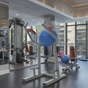 Machine de musculation multifonctionnelle professionnelle LK-061B : Tour de musculation, équipement pour soulevés de genoux, dips et tractions, pour usage commercial et domestique - Product Image 4