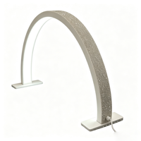 Lampe de table LED demi-lune pour soins du visage, manucure, tatouage, sourcils, cils, outil de salon OEM, vente en gros, lampe de bureau