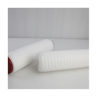 Cartucho de filtro plegado plisado PVDF de 10 pulgadas, Grado Alimenticio hidrofílico, soluciones Wuhu Anhui, 0,01 micras, oftálmica estéril