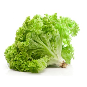 Yqdft-système de culture hydroponique pour la croissance des feuilles, légumes, littes, salade et herbes - Product Image 2