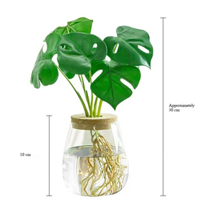 Station <span class=keywords><strong>de</strong></span> propagation des plantes avec logo personnalisé moderne Vase décoratif Jardinière Terrarium en verre Bocal pour la plantation <span class=keywords><strong>de</strong></span> plantes Vase en verre Design unique - Product Image 2
