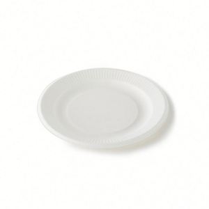 Assiettes rondes jetables biodégradables en bagasse de canne à sucre de 9 pouces - Product Image 3