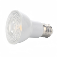 E27 Base 12V Entrée 8W Lumière du jour blanche chaude Par20 LED Ampoule de piscine pour petit spa