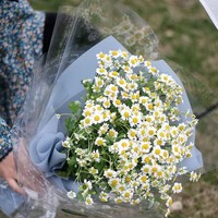 Papier d'emballage transparent en OPP pour fleurs, imperméable, en plastique, pour fleuriste, bouquet de fleurs