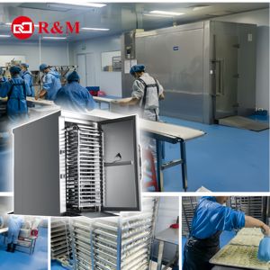 เครื่องแช่แข็งแบบอุโมงค์สำหรับอาหารประเภทแกงกะหรี่ มันฝรั่ง <span class=keywords><strong>ปลา</strong></span> เนื้อสัตว์ น้ำผลไม้ ไอศกรีม และไก่  แบบแช่แข็งเร็ว - Product Image 3