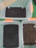 Máquina Clasificadora de Color Multifunción Wenyao de 64 Canales con Cámara CCD para Frijoles Negros, Frijoles Verdes y Frijoles de Rímel