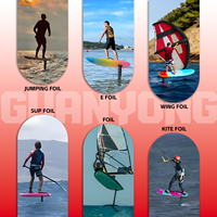 Planche de Foiling Électronique Réglable 96 cm avec Guidon pour Scooter Aquatique et Planche de Surf pour Activités Nautiques