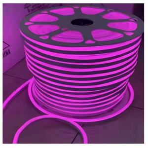 ไฟ LED สำหรับตกแต่งภูมิทัศน์ 220v แบบม้วน พร้อมปลอกซิลิโคน  ความยาว 10 ม. 20 ม. 50 ม. 100 ม.  แบบหลอดนีออน - Product Image 5