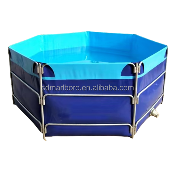 Indoor Aquaculture Fish Tanks Fish Pond Aquaculture Fish Farming Equipment for RAS
