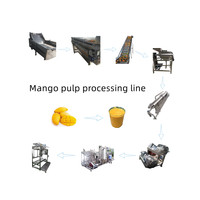 Fabrieksaanbieding Automatische Plc Controle Mango Pulp Verwerkingsmachine Sap Drank Productielijn