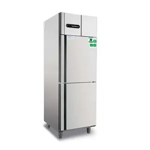 Display Tür Amerikanisch-Chinesische Kühlschränke zum Verkauf Gefrier schrank Kühlgeräte gekühlt