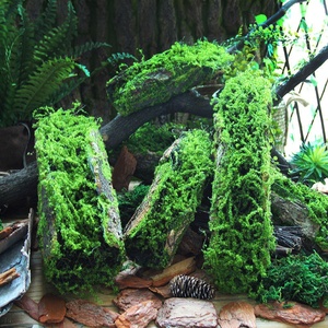 Ornements Créatifs en Plastique Faits à la Main pour Décoration Intérieure et Extérieure, Création de Scènes, Vitrines, Plantes Tropicales de Forêt Tropicale - Product Image 1